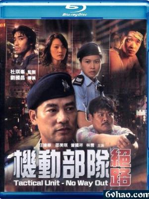 法国空姐2019